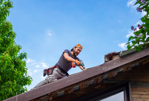 Best Emergency Roof Repair Services  in Summersville, WV